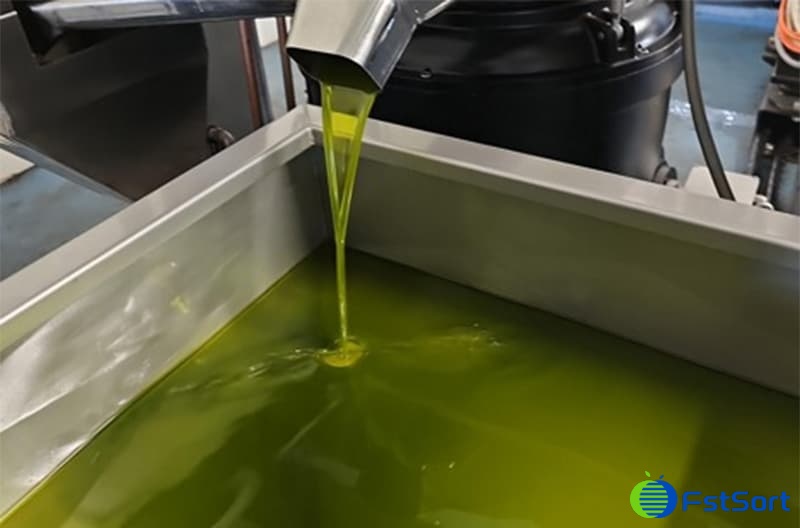 images/1700033279544Colombia México Perú.jpg